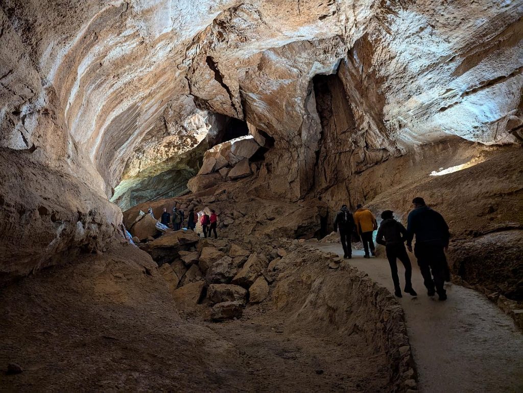 Mammuthöhle (Paläotraun)